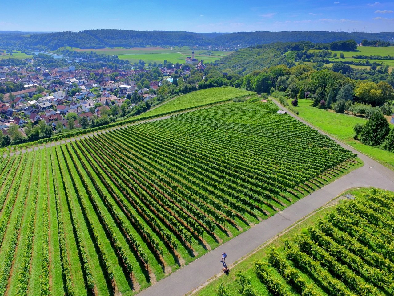 Weinberge am Ortsrand